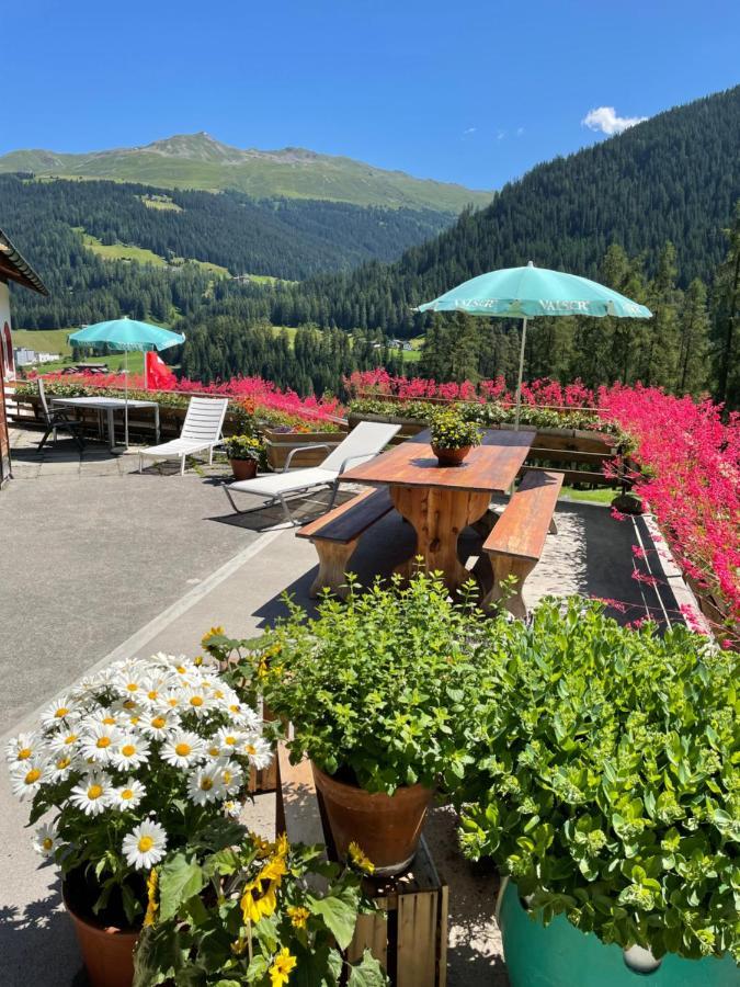 Apartment Bnb Guesthouse Lusi *