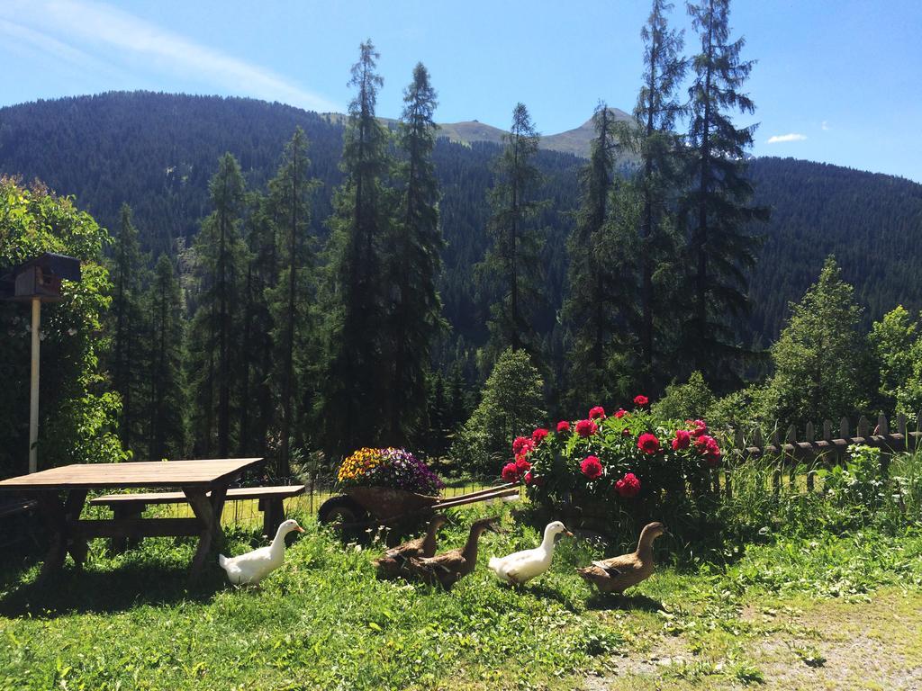 Bnb Guesthouse Lusi