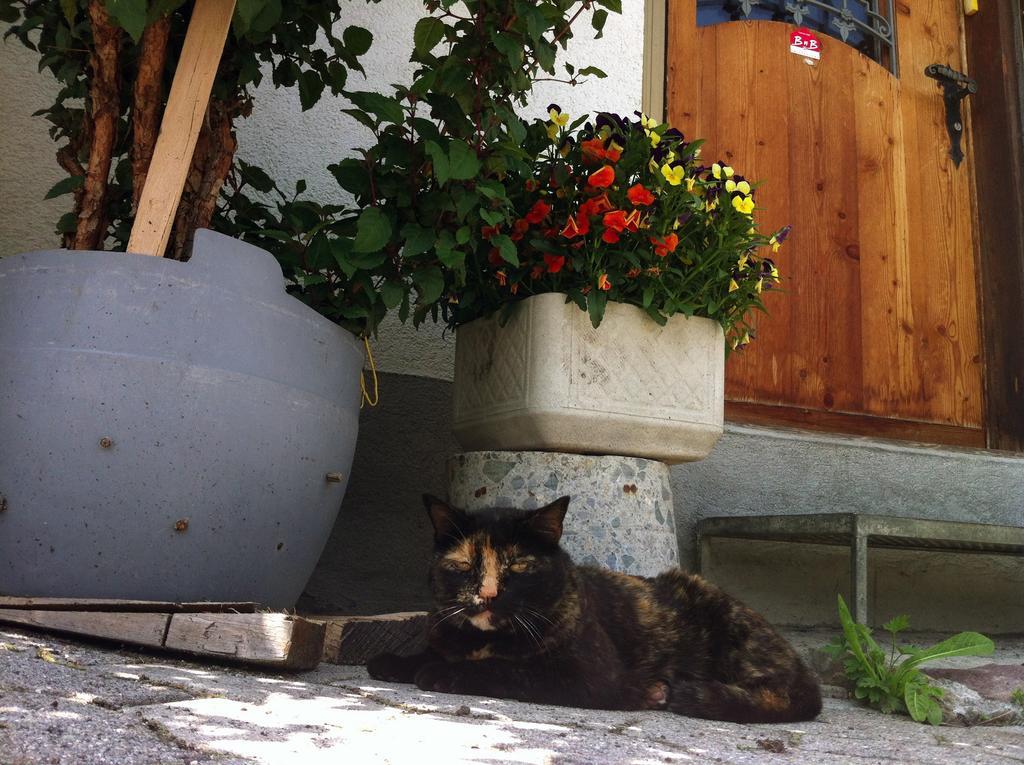 Apartment Bnb Guesthouse Lusi